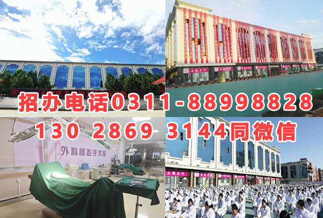 石家莊天使護士學(xué)校2025年秋季招生簡章