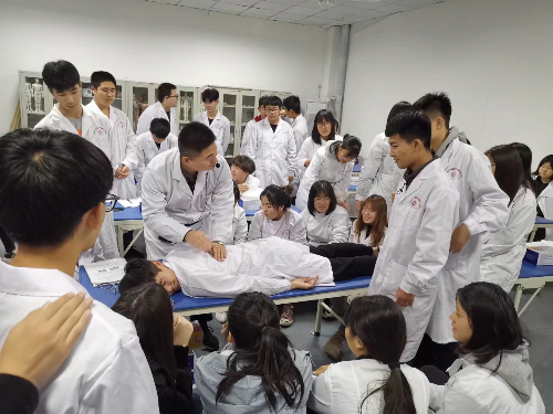 想學(xué)醫(yī)學(xué)？2026 石家莊冀聯(lián)醫(yī)學(xué)中專招生通道已開，圓你從醫(yī)夢！